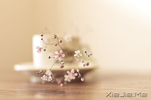 簲룬Ϊ (10)